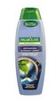 Palmolive Šampon 350ml Anti-Dandruff