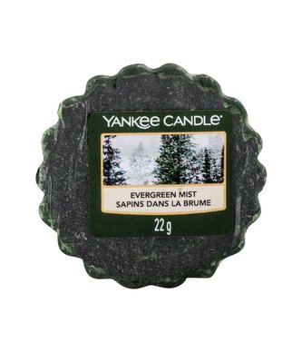 Yankee Candle Evergreen Mist Vonná svíčka 22 g unisex