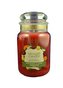 Yankee Candle Be Thankful Remerciements Vonná svíčka 623 g unisex