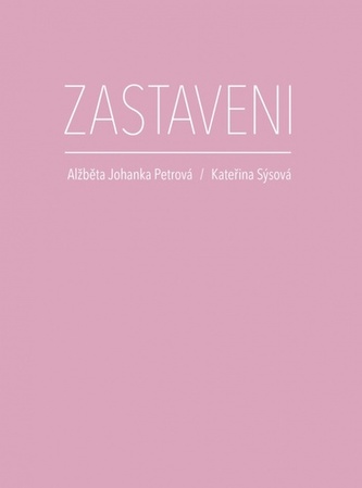 Zastaveni