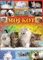 Mój kot
