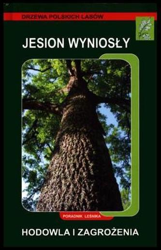 Jesion wyniosły. Hodowla i zagrożenia Jesion wyniosły. Hodowla i zagrożenia