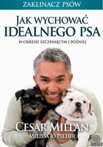 Jak wychować idealnego psa