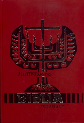 Ilustrowana Biblia młodych