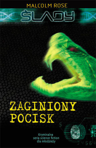 Ślady. Zaginiony pocisk