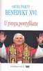 U progu pontyfikatu, Ojciec Święty Benedykt XVI.
