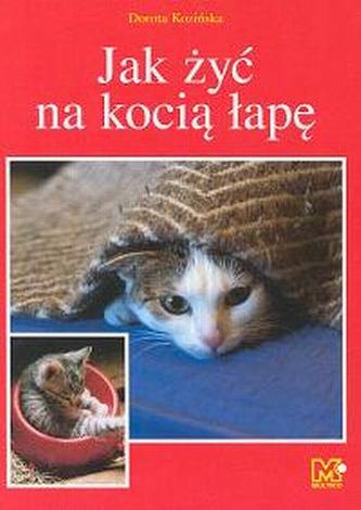 Jak żyć na kocią łapę