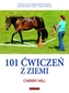 101 ćwiczeń z ziemi