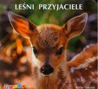 Leśni przyjaciele