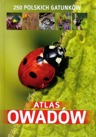 Atlas owadów. 250 polskich gatunków