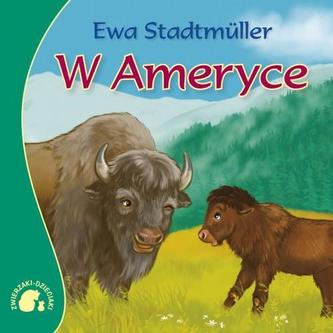 W Ameryce