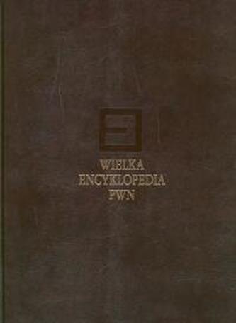 Wielka encyklopedia PWN Tom 6