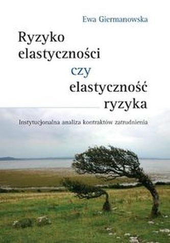 Ryzyko elastyczności czy elastyczność ryzyka Ryzyko elastyczności czy elastyczność ryzyka