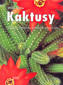 Kaktusy