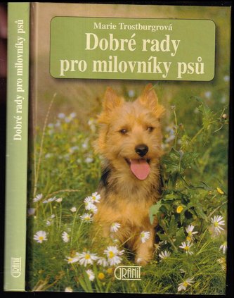 Dobré rady pro milovníky psů
