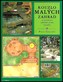 Kouzlo malých zahrad