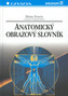 Anatomický obrazový slovník