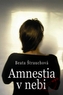 Amnestia v nebi
