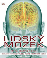 Lidsku00fd mozek - Obrazovu00fd pru016fvodce stavbou, funkcu00ed a nemocemi mozku