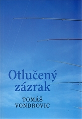 Obrázek