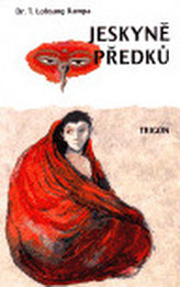 Obrázek