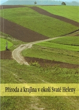 Obrázek