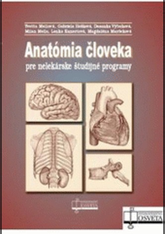 Anatómia človeka pre nelekárske študijné odbory