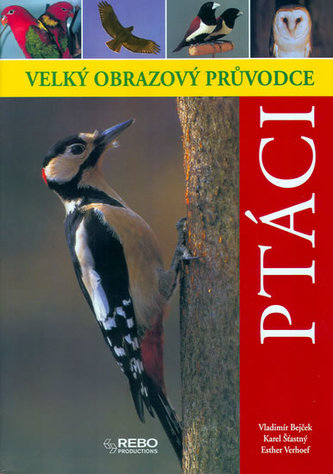 Ptáci