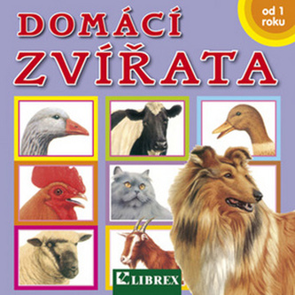 Domácí zvířata