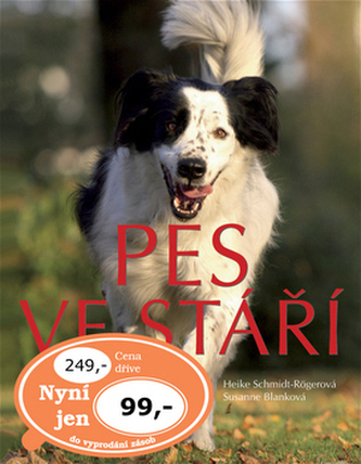 Pes ve stáří