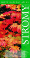 Stromy