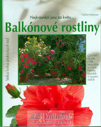 Balkónové rostliny
