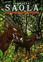 Saola aneb největší zoologické objevy posledních let