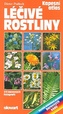 Léčivé rostliny