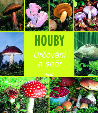 Houby určování a sběr