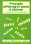 Pravopis přídavných jmen a zájmen