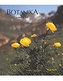 Botanika