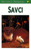 Savci