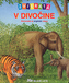 Zvieratá v divočine