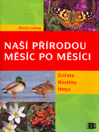 Naší přírodou měsíc po měsíci