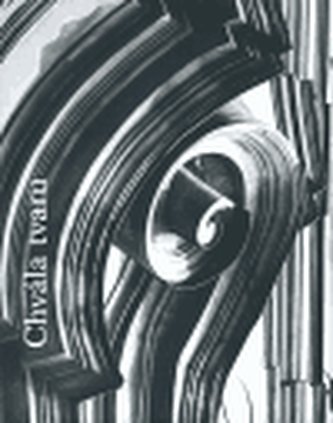 Chvála tvaru - Fotografie Vladimíra Uhra