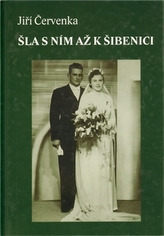 Obrázek