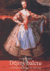 Obrázek