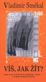 Obrázek