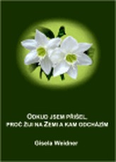 Obrázek
