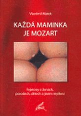 Obrázek