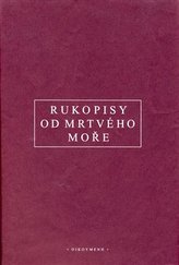 Obrázek