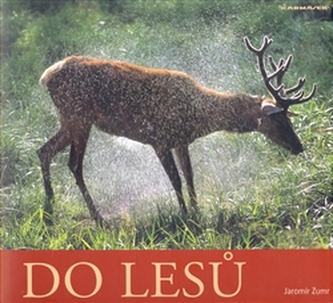 Do lesů Do lesů