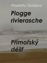 Obrázek