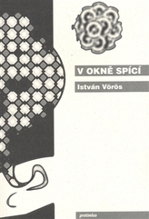 Obrázek